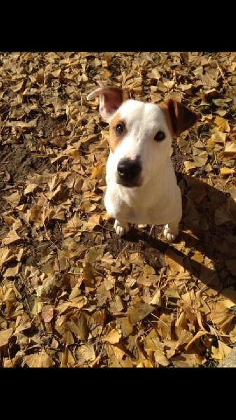 Publication : D'Amour Et D'Eau Fraiche