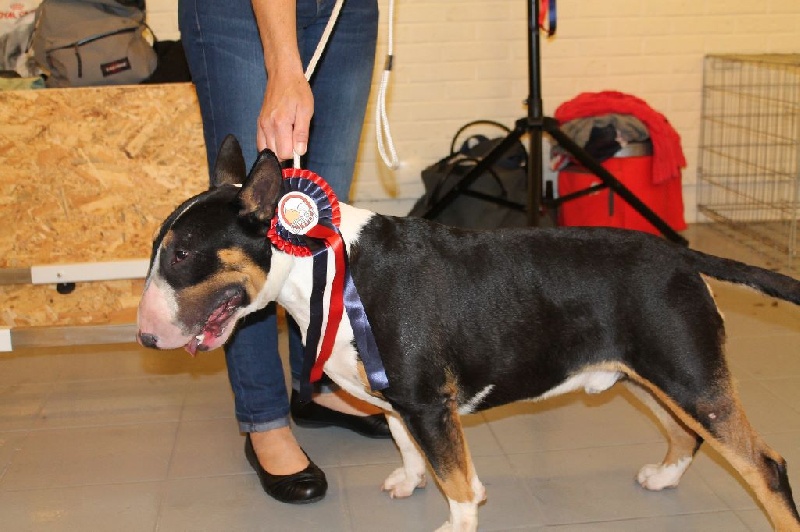 Thud and cuddles Let it be - 2eme excellent