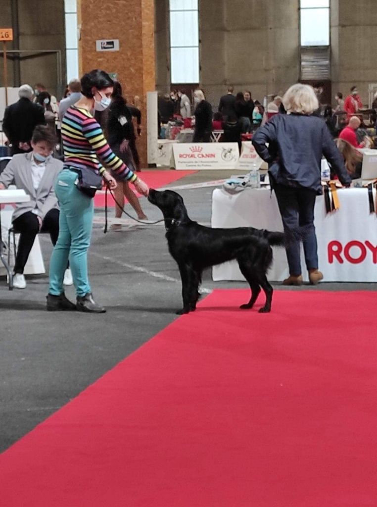 Precious pink girl des Plaines De Cosac - 2eme EXCELLENT