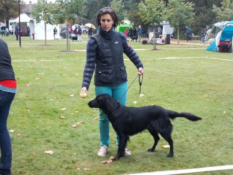 Laska des Plaines De Cosac - TB