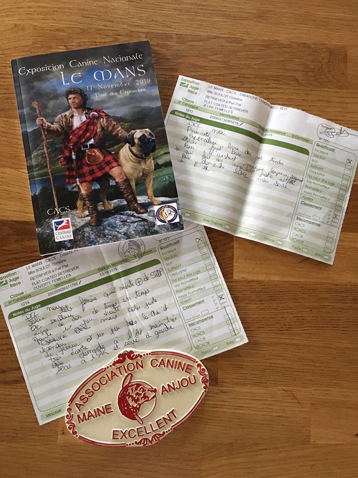 Precious pink girl des Plaines De Cosac - 2e EXCELLENT