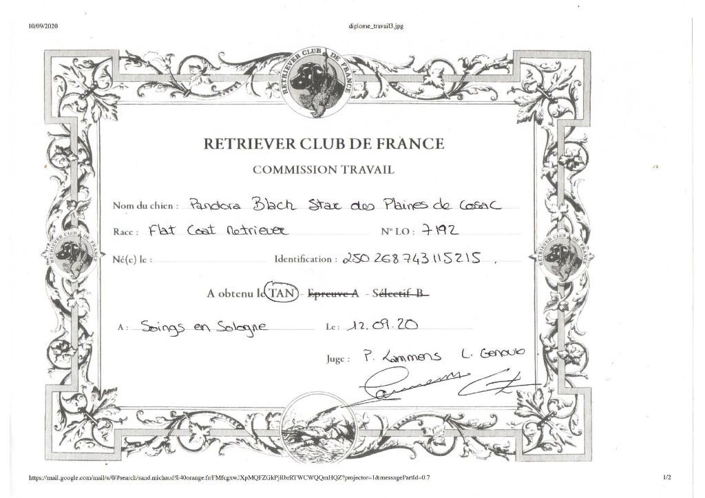 Pandora-black-star des Plaines De Cosac - TAN