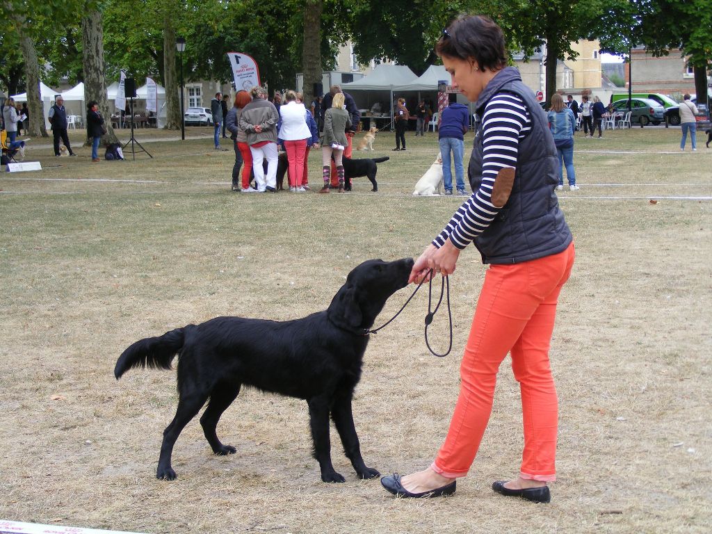 Precious pink girl des Plaines De Cosac - TRES PROMETTEUR