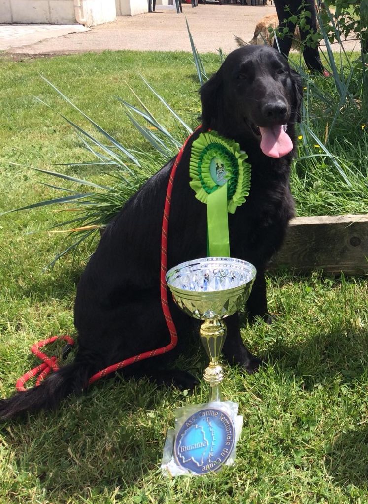 Laska des Plaines De Cosac - 1ER EXCELLENT - CACS - MEILLEUR DE RACE