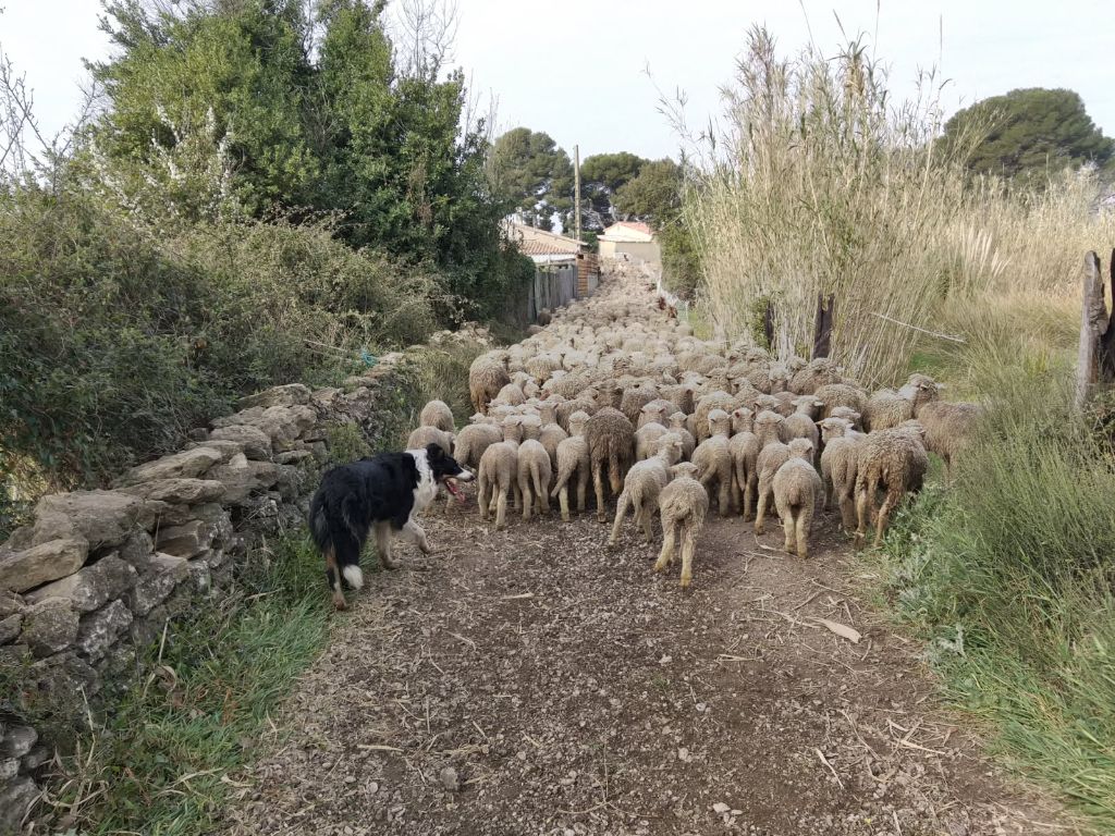 Publication : Du mont kerchouan