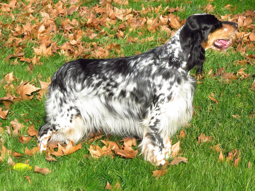 CH. Macbeth Du Terroir De Saintonge