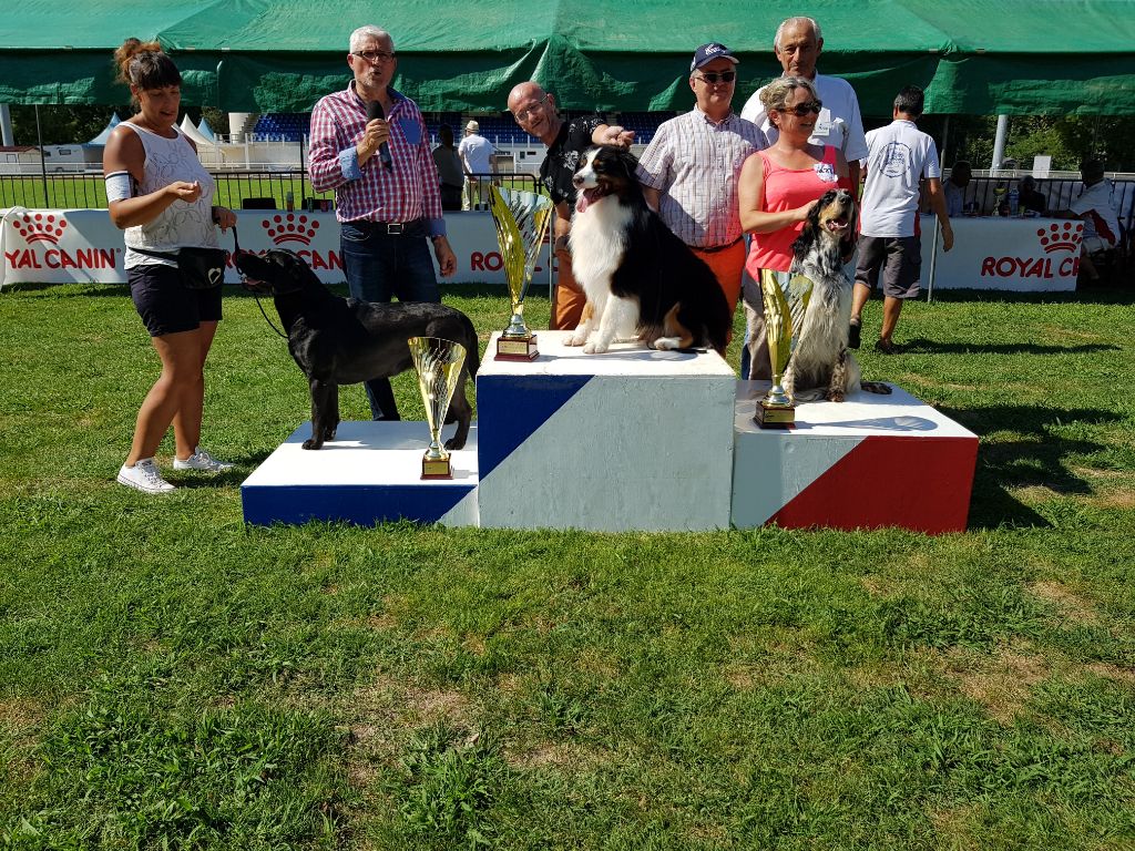 CH. Macbeth Du Terroir De Saintonge