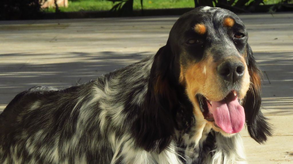 CH. Macbeth Du Terroir De Saintonge