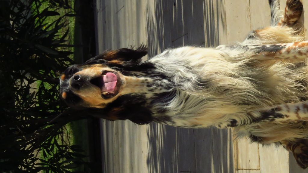 CH. Macbeth Du Terroir De Saintonge