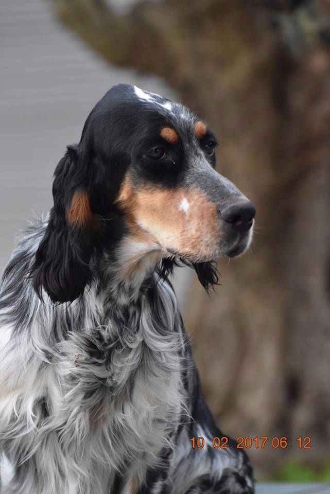 CH. Macbeth Du Terroir De Saintonge