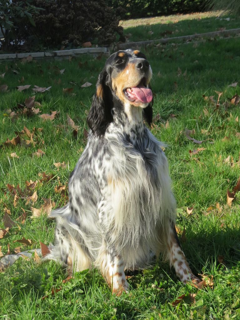 CH. Macbeth Du Terroir De Saintonge