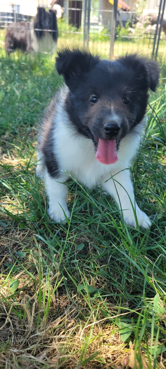 BAÏKO