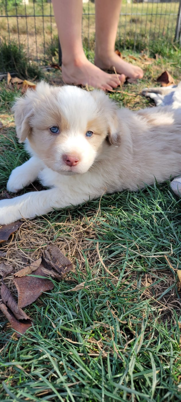 Bonnie