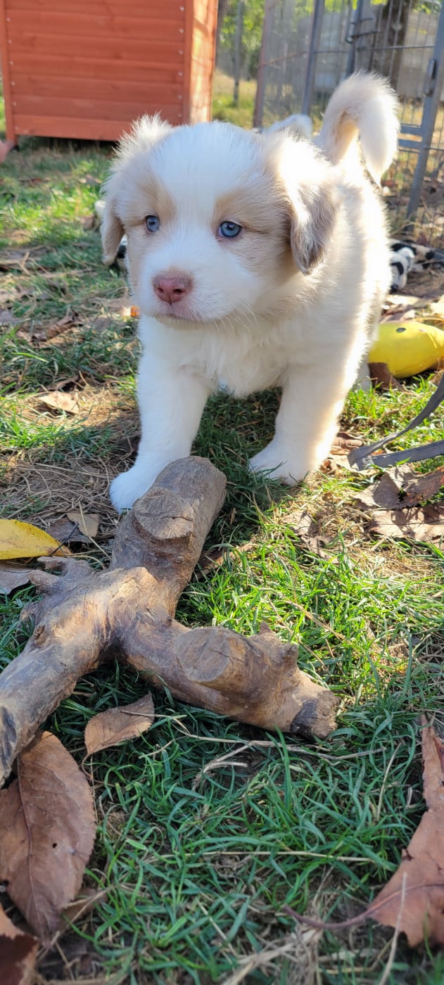 Bonnie