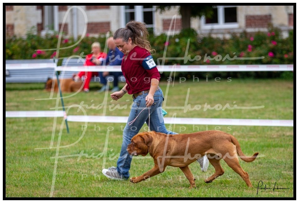 Ops De La Forêt Des Deesses - Excellent