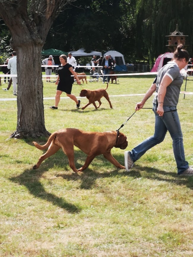 Ops De La Forêt Des Deesses - Excellent