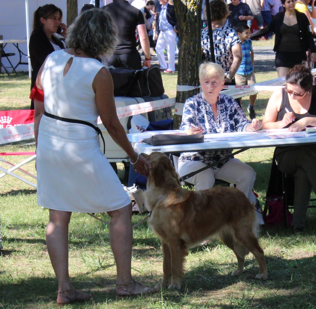 Neska Du Ruisseau Des Sapins - 2ème très bon
