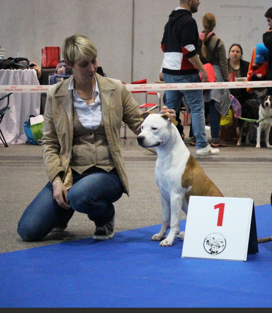 Old Parry's Pecan neverending story - Classe puppy : 1er Très prometteur