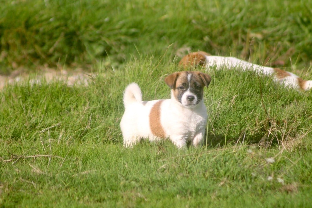 April des Douces Merveilles