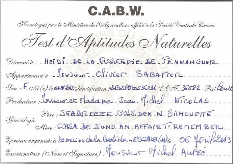 Heidi de la Roseraie de Pennanguer - TAN