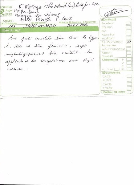 Heidi de la Roseraie de Pennanguer - TRES PROMETTEUR