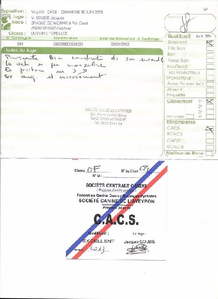 Heidi de la Roseraie de Pennanguer - PREMIER EXCELLENT CACS