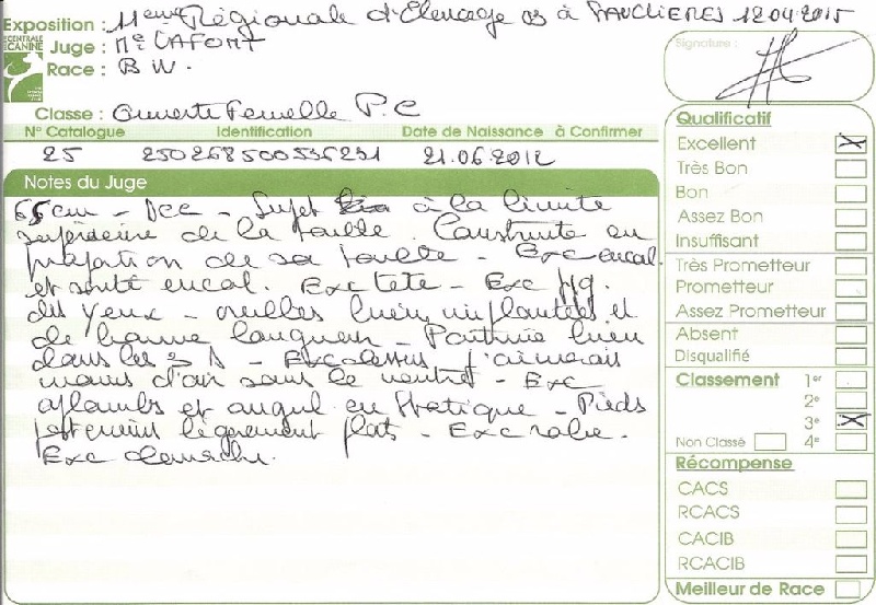 Heidi de la Roseraie de Pennanguer - TROISIEME EXCELLENT