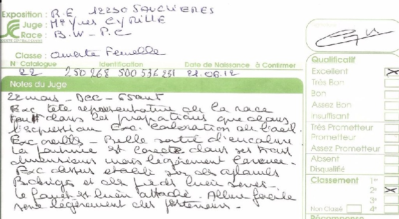 Heidi de la Roseraie de Pennanguer - DEUXIEME EXCELLENT