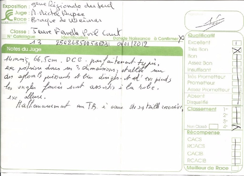 Heidi de la Roseraie de Pennanguer - TB