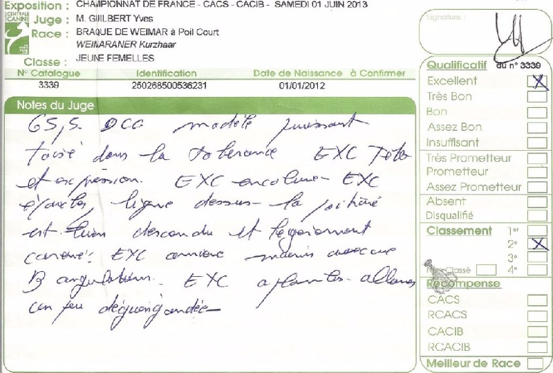 Heidi de la Roseraie de Pennanguer - DEUXIEME EXCELLENT