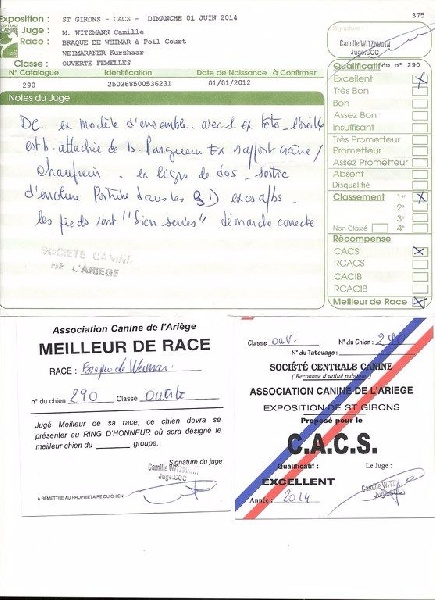 Heidi de la Roseraie de Pennanguer - MEILLEUR DE RACE CACS