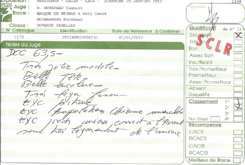 Heidi de la Roseraie de Pennanguer - DEUXIEME EXCELLENT