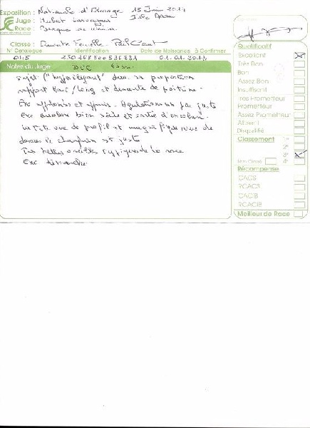 Heidi de la Roseraie de Pennanguer - TROISIEME EXCELLENT