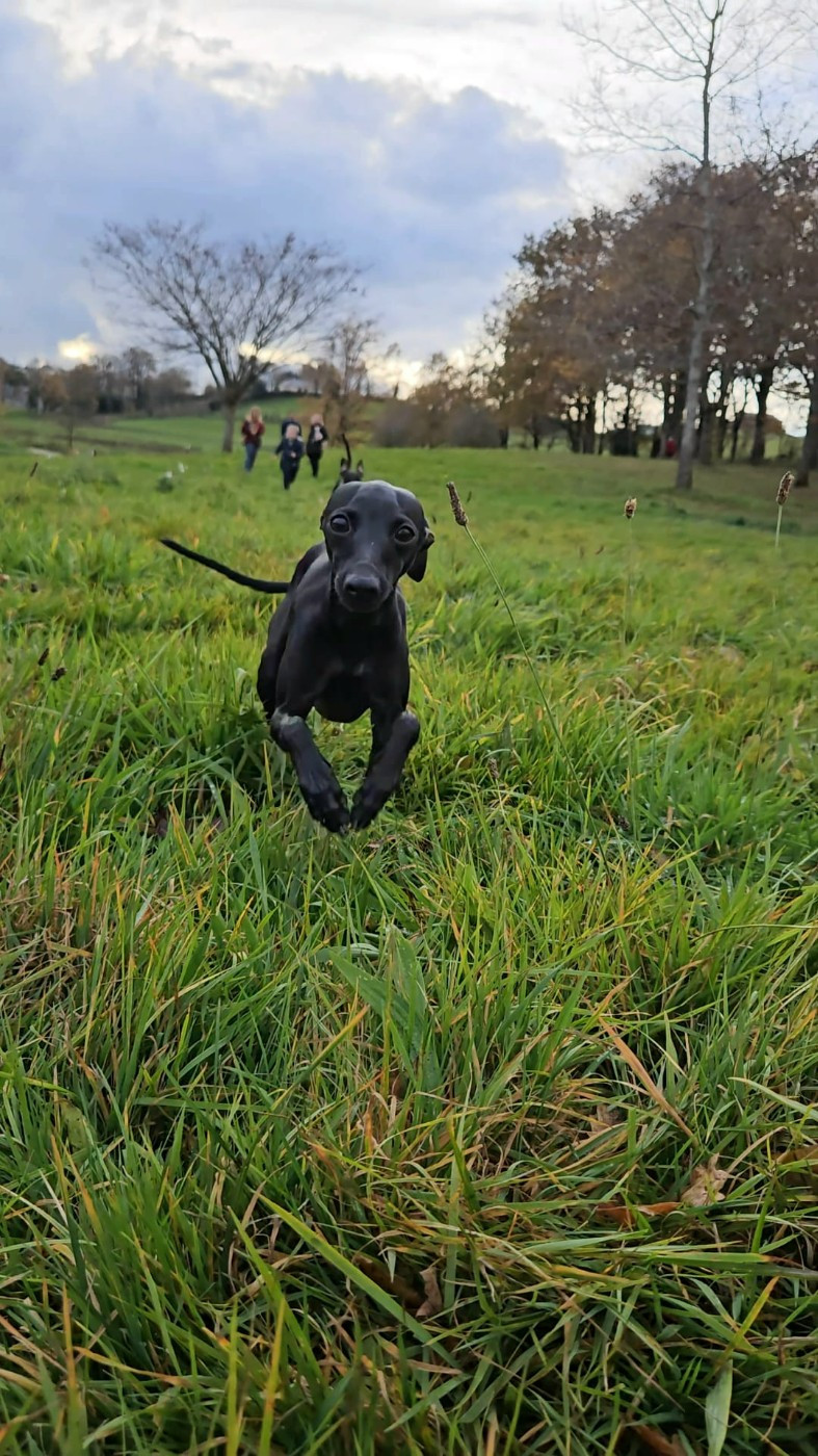 Publication : Du Domaine Des Grands Causses Auteur : Domaine des Grands Causses