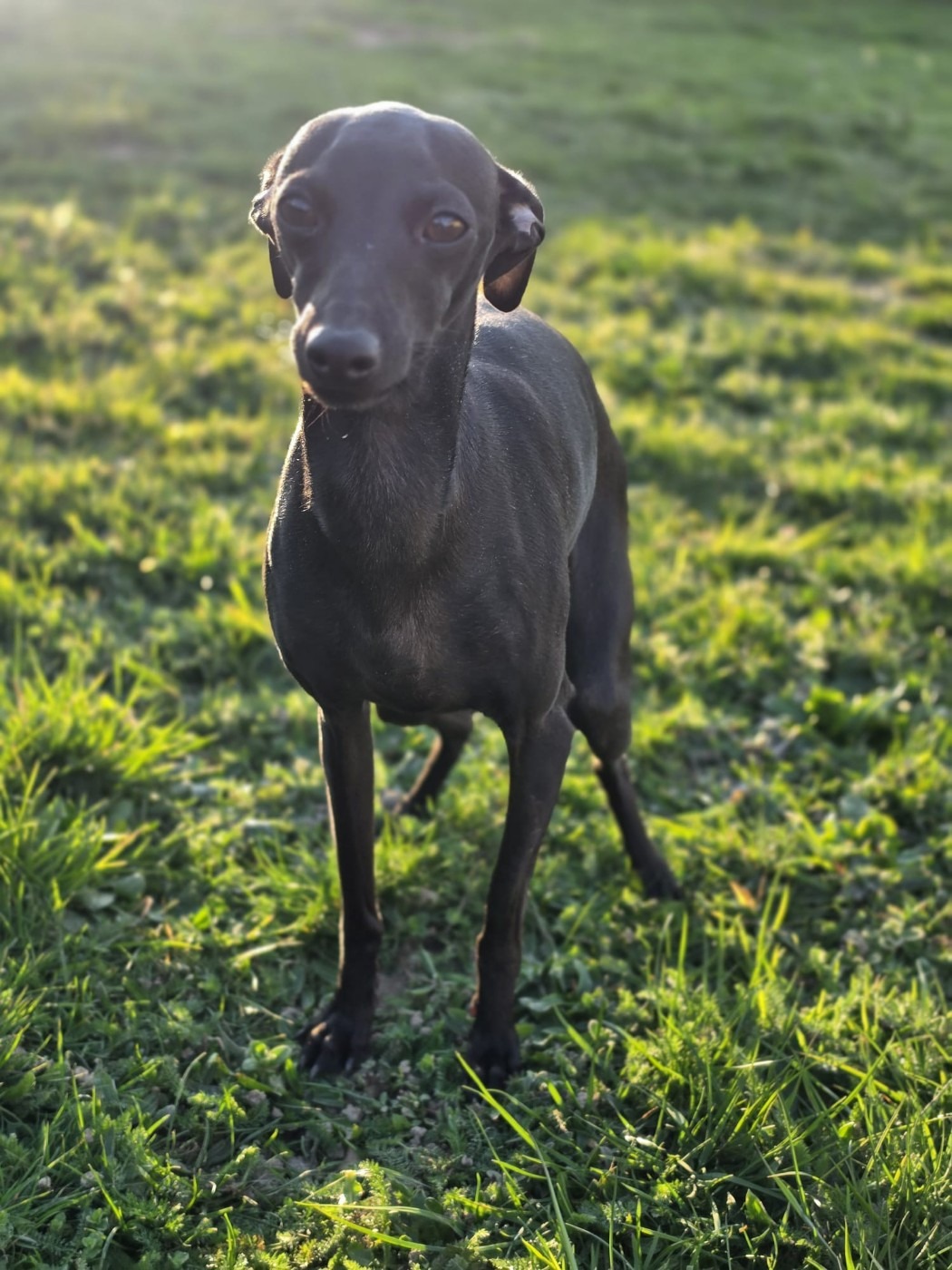 Publication : Du Domaine Des Grands Causses Auteur : Domaine des Grands Causses