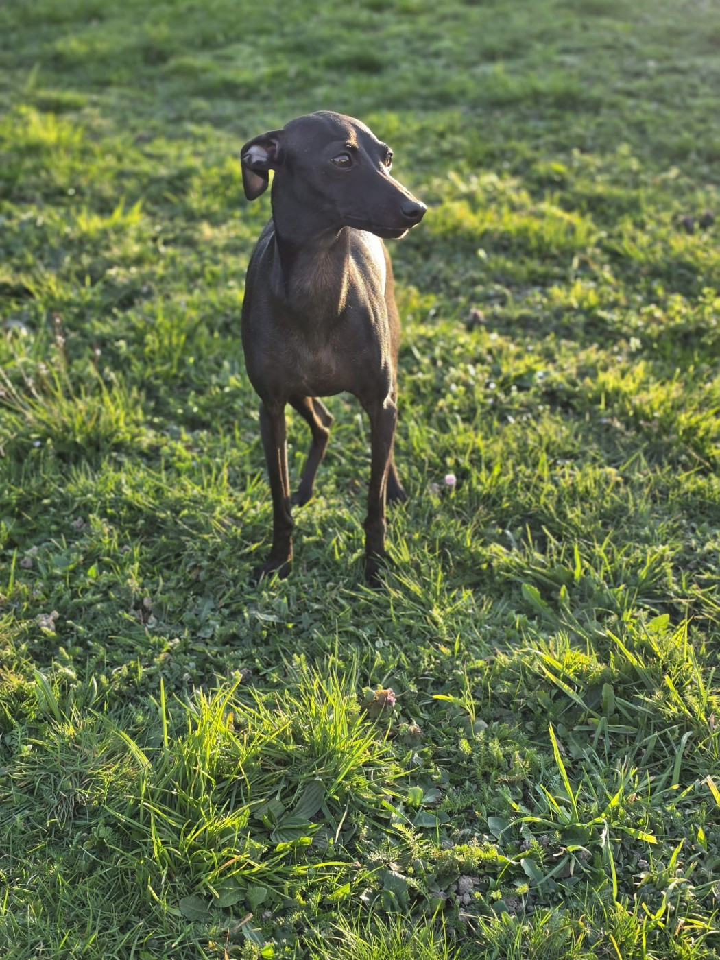 Publication : Du Domaine Des Grands Causses Auteur : Domaine des Grands Causses