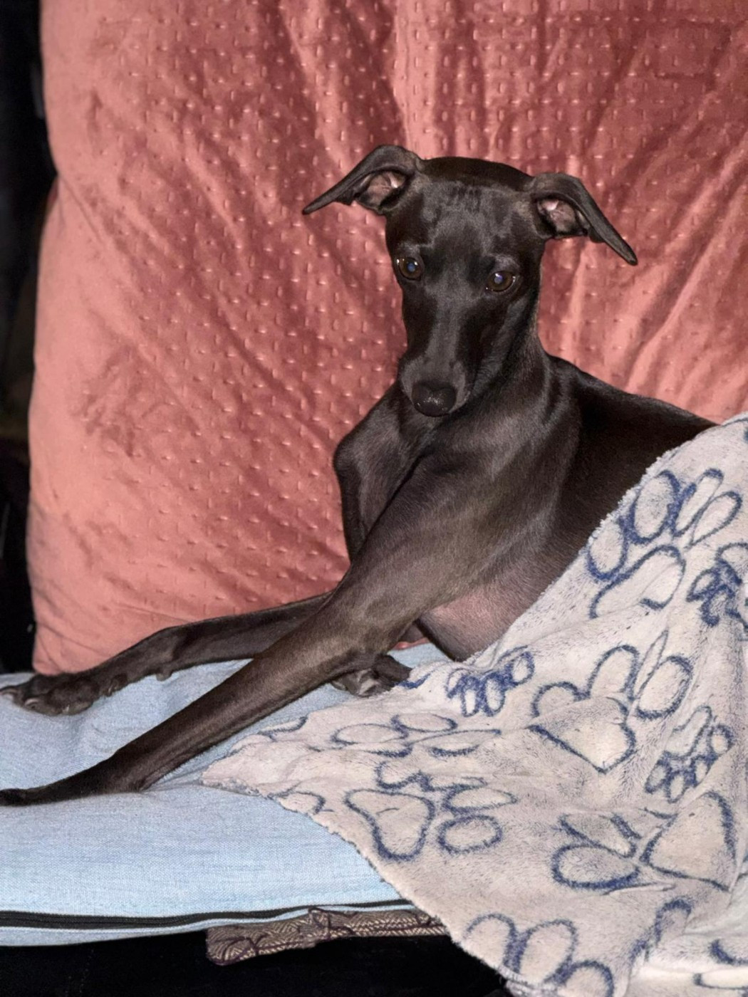 Publication : Du Domaine Des Grands Causses