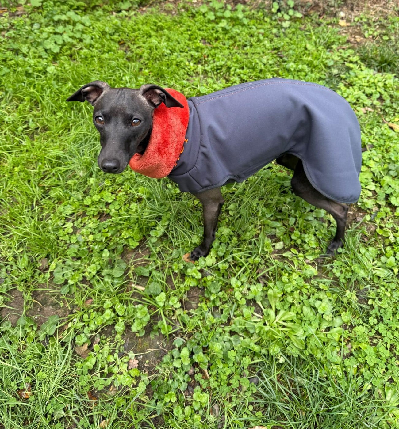 Publication : Du Domaine Des Grands Causses