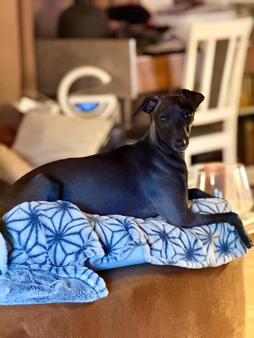 Publication : Du Domaine Des Grands Causses