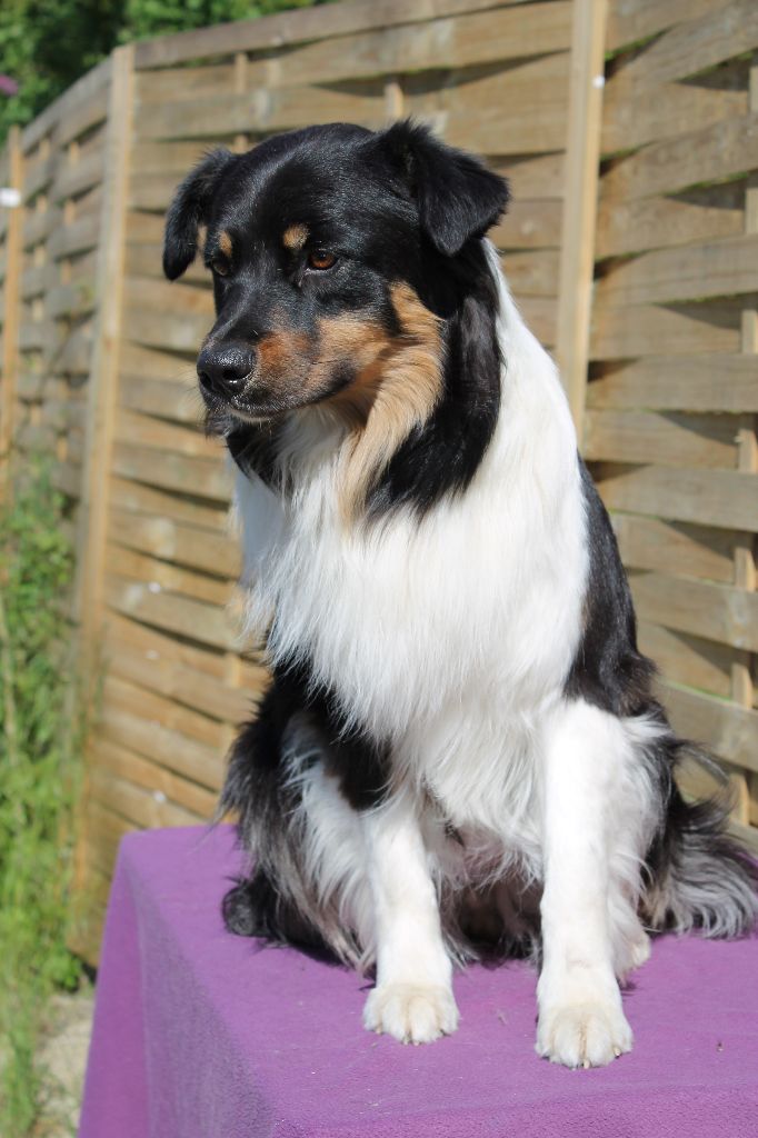 Publication : Of Salsa's Stars