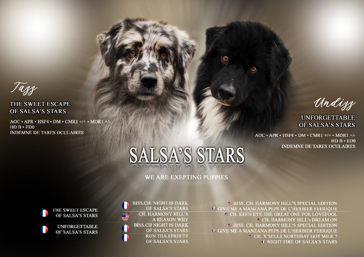 Berger Australien - Of Salsa's Stars