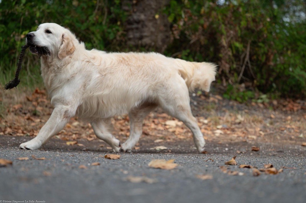 Titan chronos de la Légende de l'Or du Rhin