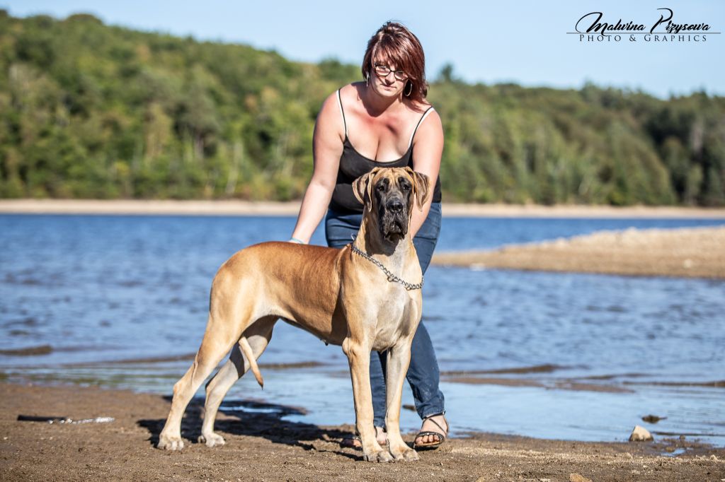 CH. Nina dite haiñeko de l'Hacienda Des Dogos - 1ere exc RCACS