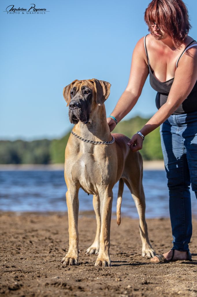 CH. Nina dite haiñeko de l'Hacienda Des Dogos - 3eme excellent