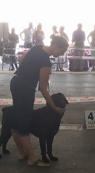 Izio Des Seigneurs De Sparte - 3ème Excellent