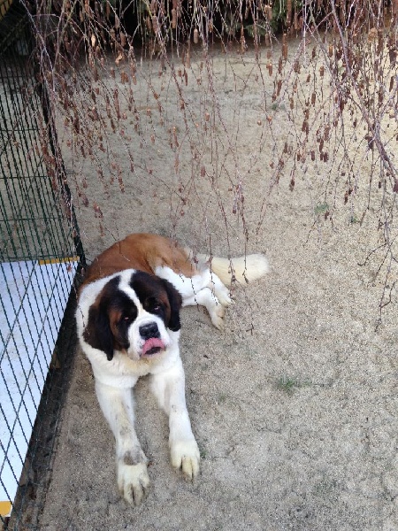 Publication : Du Fort Noir