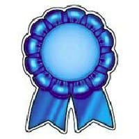 CH. Kay Hina No more mister nice guy - 1er Excellent en classe Jeune