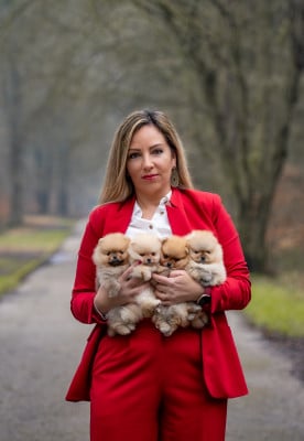 Du Domaine Angel Stars