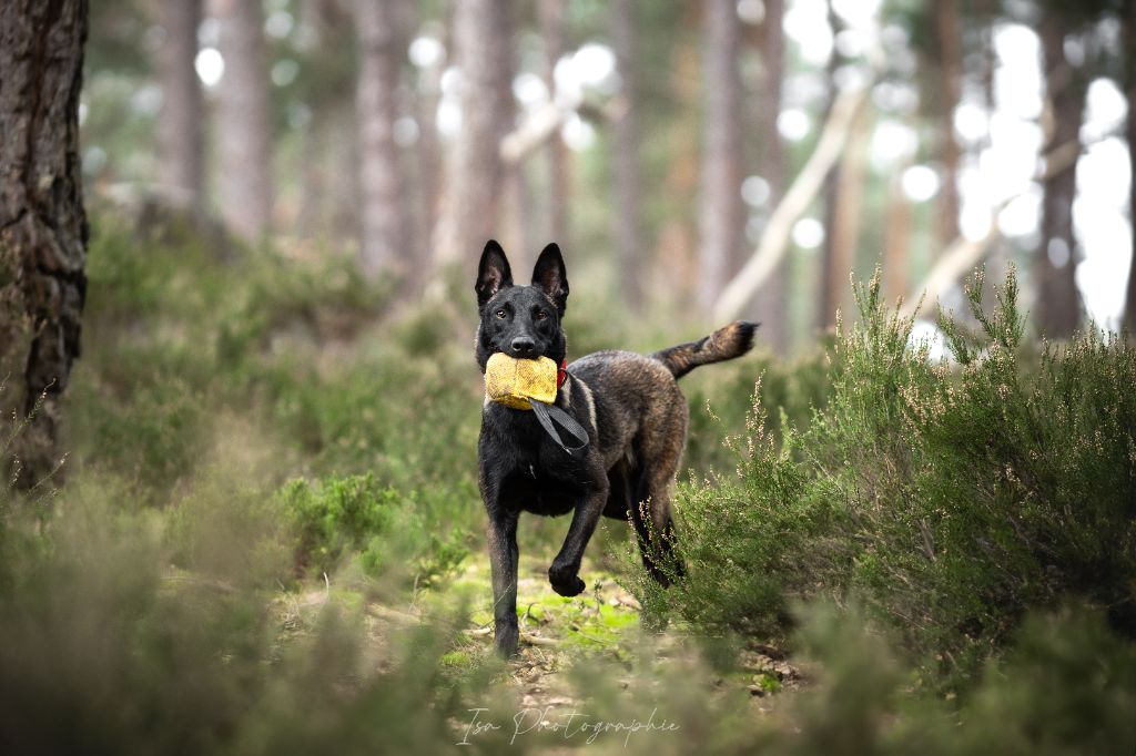 Publication : Des Feux de l'Espoir Auteur : Isa Photographie