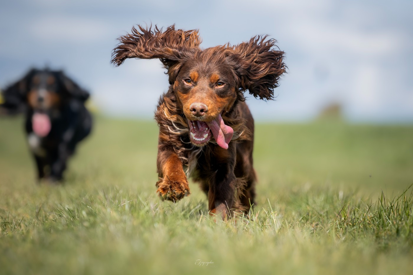 Publication : Des Feux de l'Espoir Auteur : IZIGRAPHIE